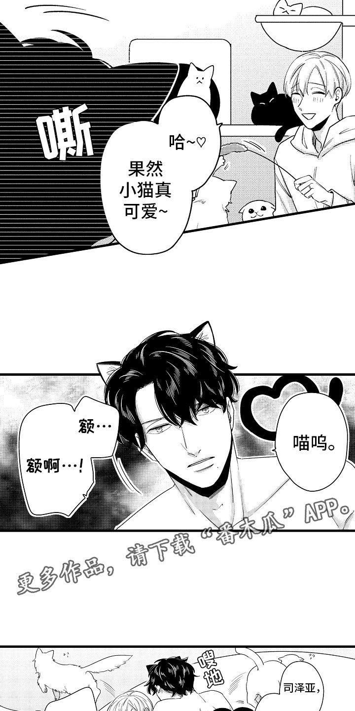 《婚姻协奏曲》漫画最新章节第15章比那更重要免费下拉式在线观看章节第【13】张图片