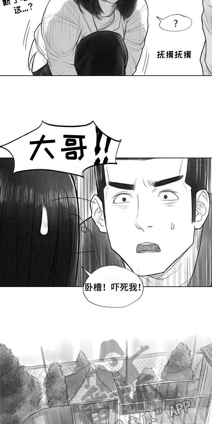 《断翼之歌》漫画最新章节第17章深刻免费下拉式在线观看章节第【12】张图片