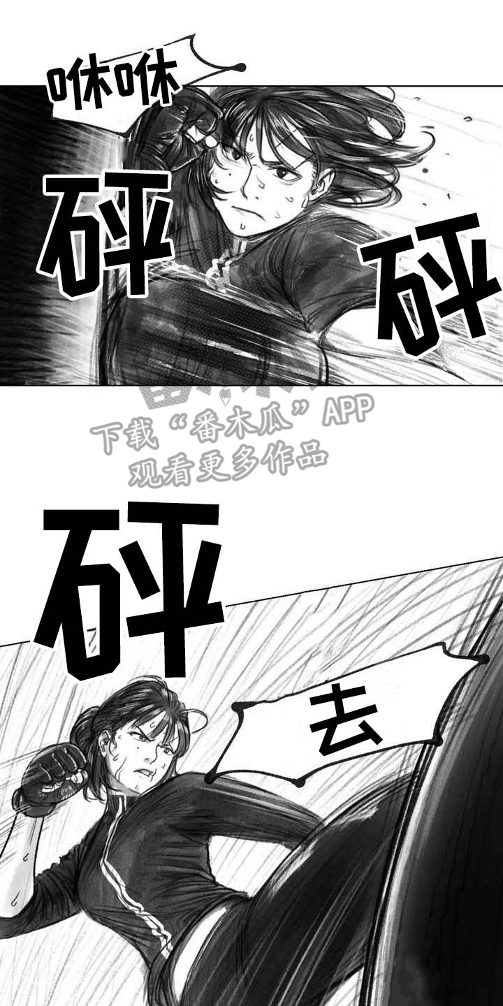 《断翼之歌》漫画最新章节第27章线索免费下拉式在线观看章节第【15】张图片