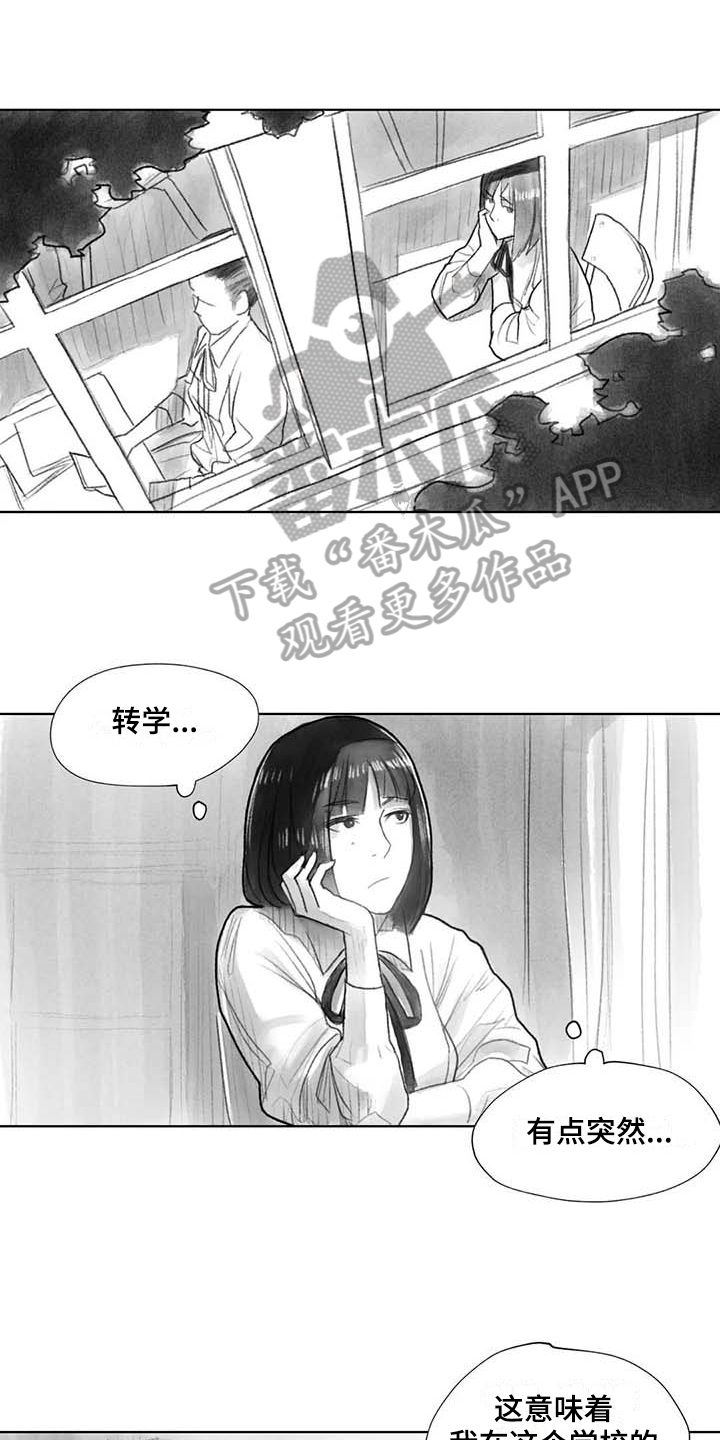 《断翼之歌》漫画最新章节第36章在意免费下拉式在线观看章节第【14】张图片