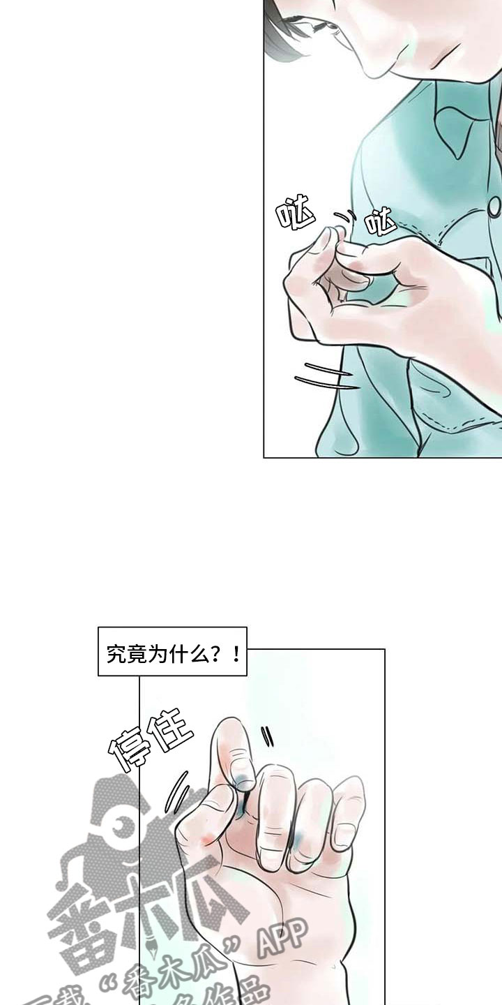 第18章南辕北辙5