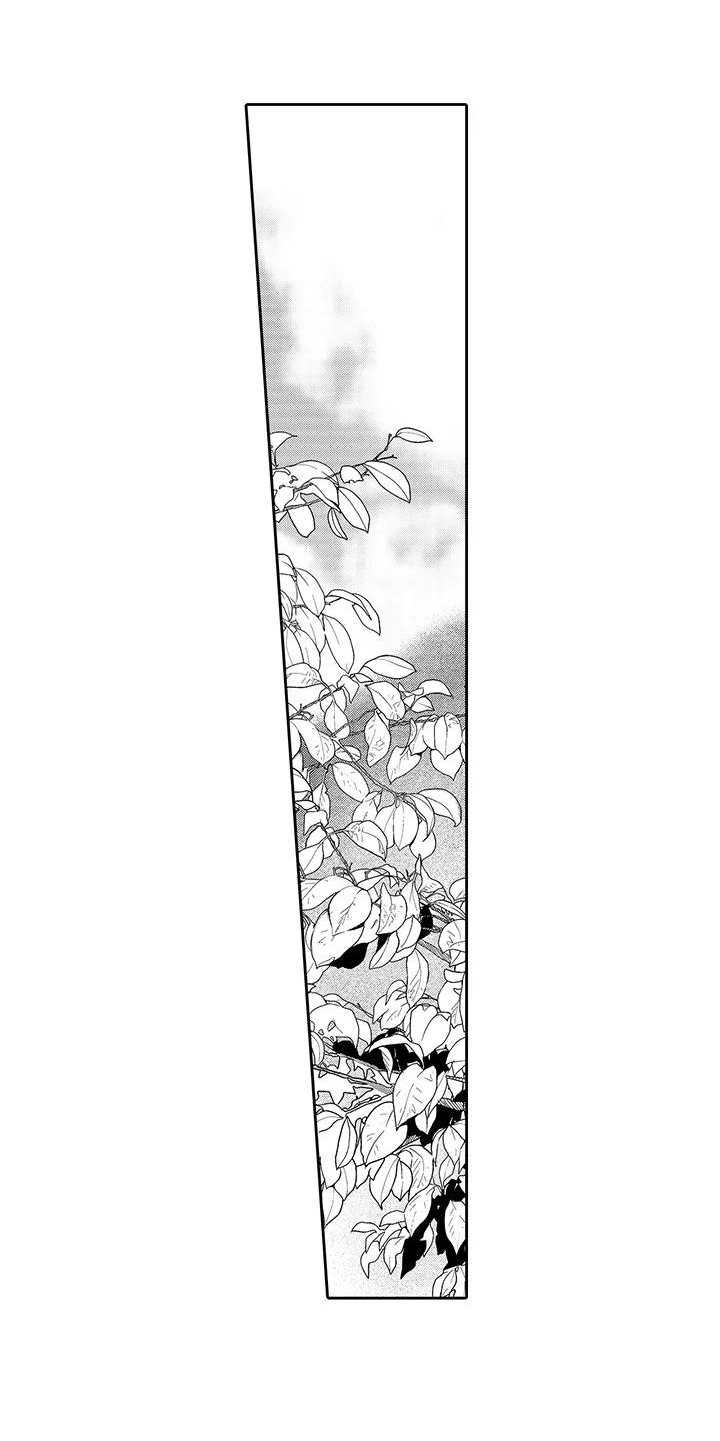 【山神是猫妖】漫画-（第3章摘果子）章节漫画下拉式图片-5.jpg
