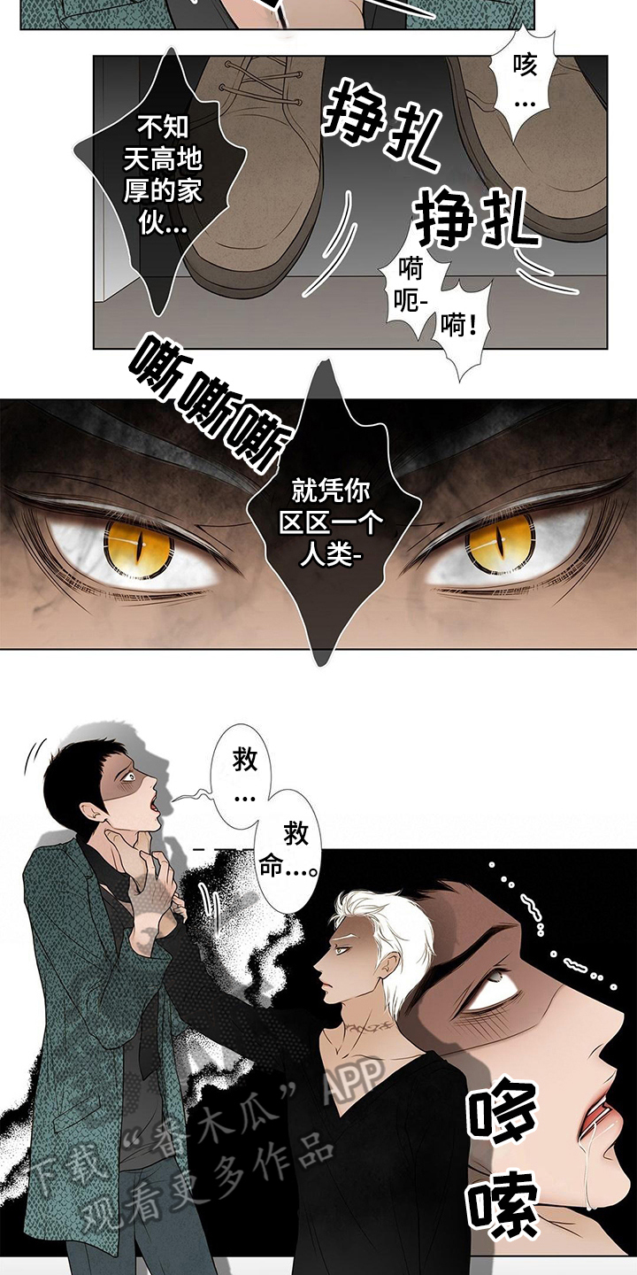 《灵魂争夺》漫画最新章节第30章中计免费下拉式在线观看章节第【9】张图片