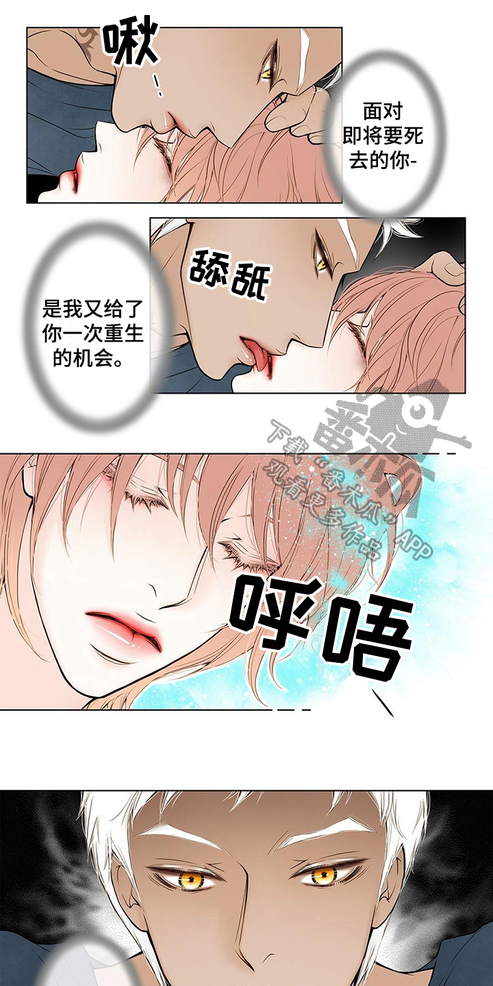 《灵魂争夺》漫画最新章节第19章欺负免费下拉式在线观看章节第【11】张图片