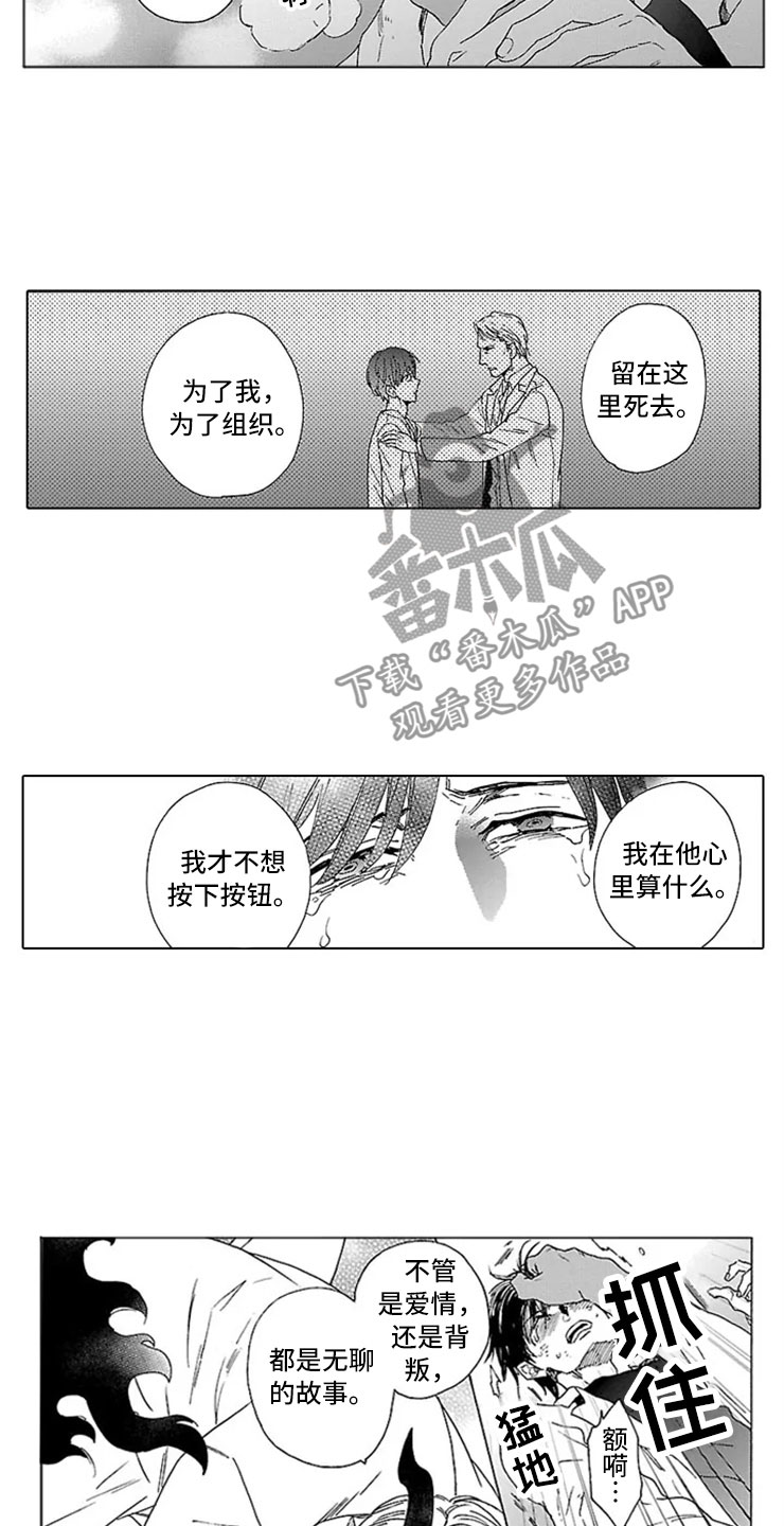 《我们的相遇》漫画最新章节第13章试验免费下拉式在线观看章节第【10】张图片