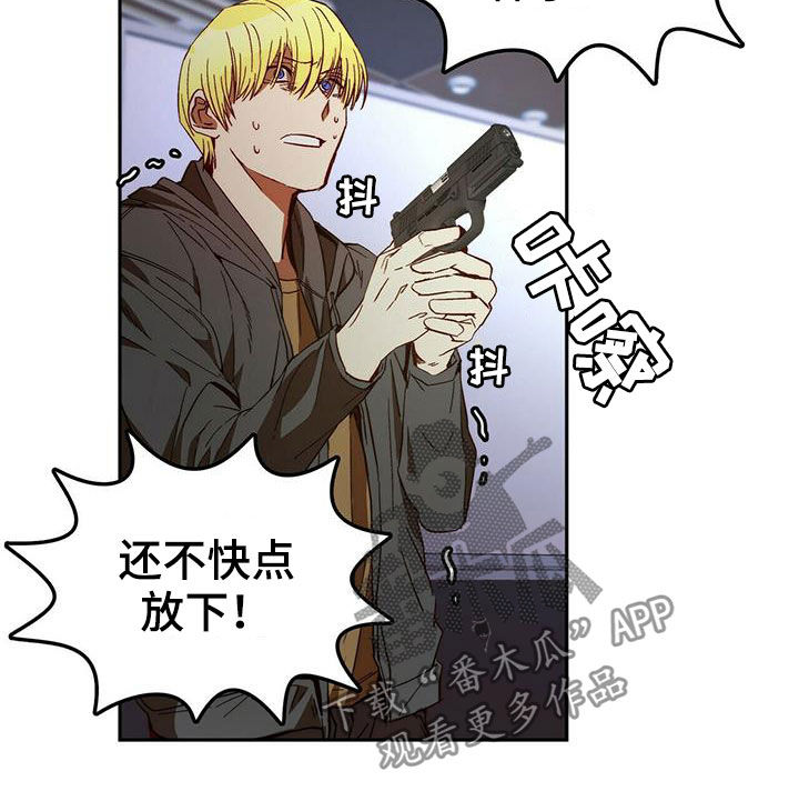 《钻石神偷》漫画最新章节第19章担心你免费下拉式在线观看章节第【15】张图片