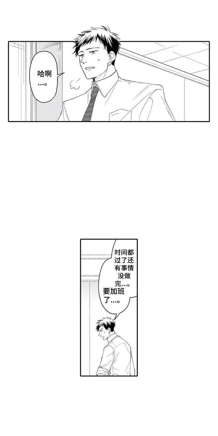 《双胞胎抉择》漫画最新章节第1章喜好免费下拉式在线观看章节第【12】张图片