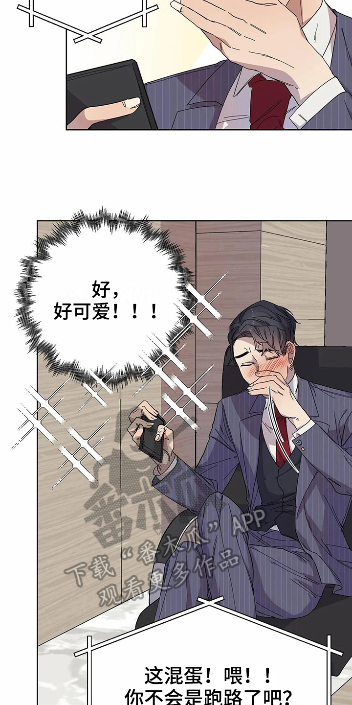 《恋爱斗争》漫画最新章节第12章服软免费下拉式在线观看章节第【5】张图片