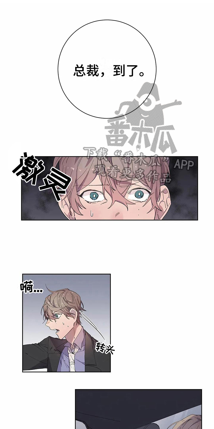 《恋爱斗争》漫画最新章节第17章商量免费下拉式在线观看章节第【17】张图片