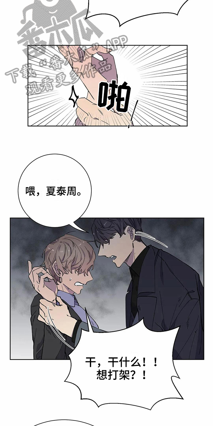 《恋爱斗争》漫画最新章节第23章表白免费下拉式在线观看章节第【5】张图片