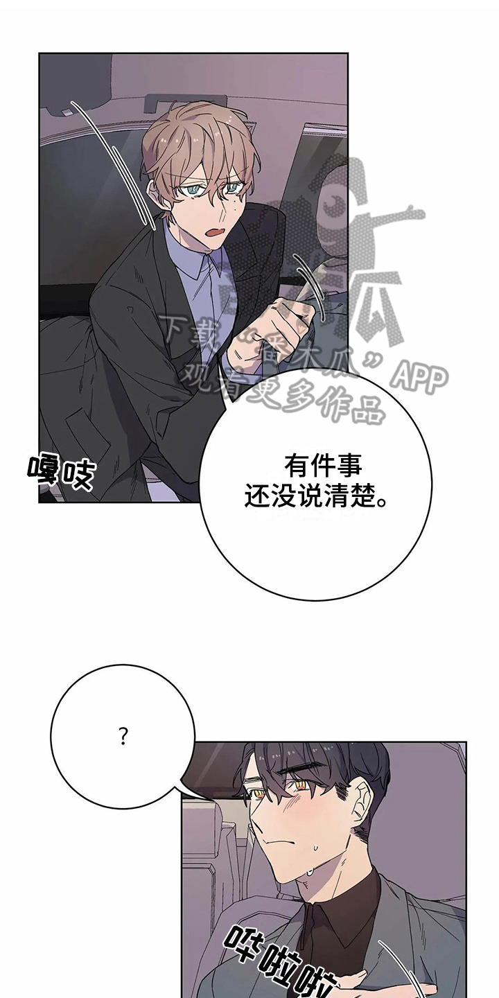 《恋爱斗争》漫画最新章节第25章伴侣免费下拉式在线观看章节第【17】张图片