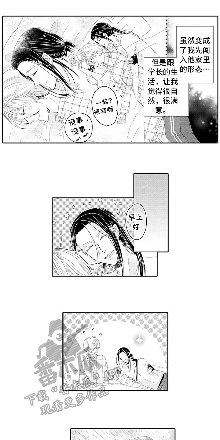 《蝴蝶种子》漫画最新章节第17章满意免费下拉式在线观看章节第【4】张图片