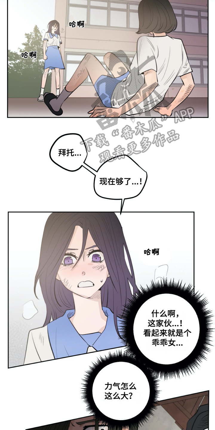 《钢琴少女》漫画最新章节第31章维护免费下拉式在线观看章节第【15】张图片