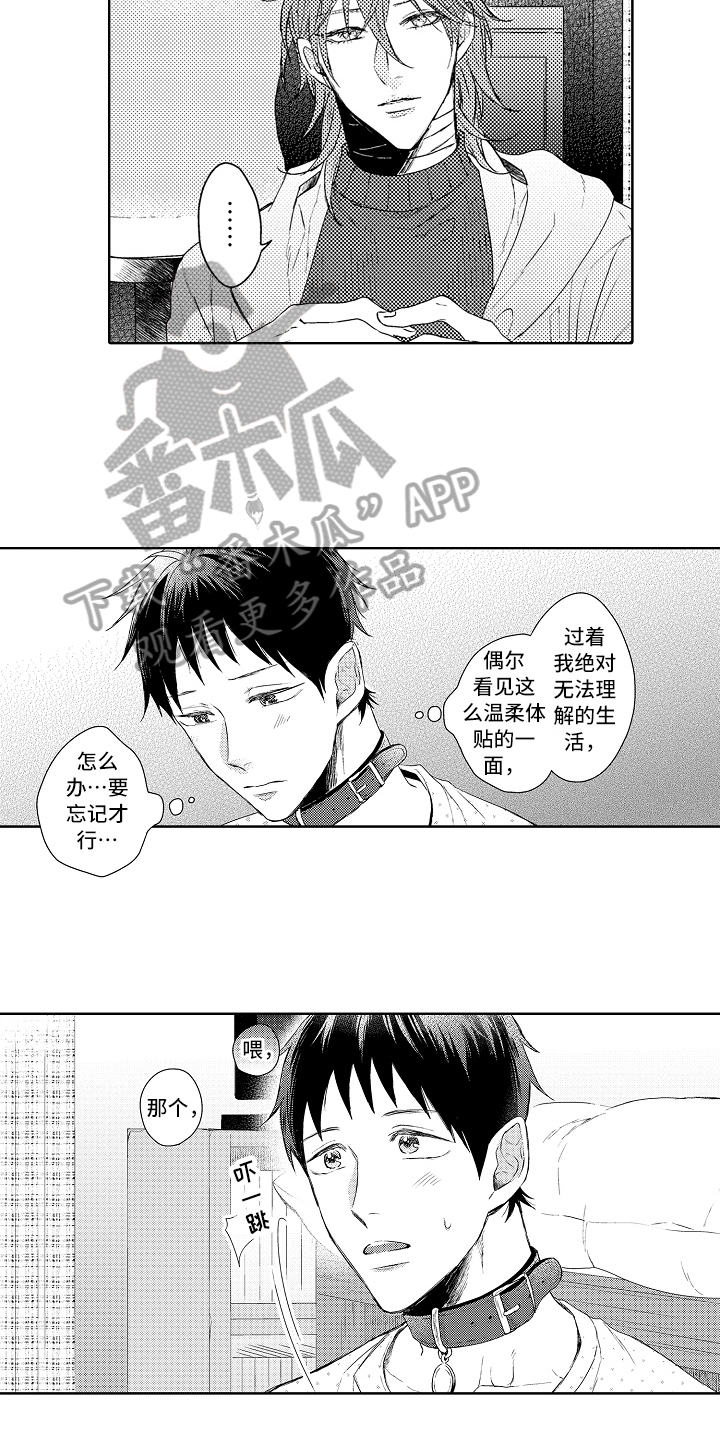 《我会喵喵叫》漫画最新章节第11章下厨免费下拉式在线观看章节第【6】张图片