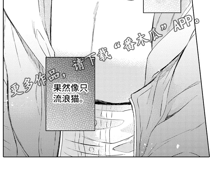 《我会喵喵叫》漫画最新章节第15章流浪猫免费下拉式在线观看章节第【1】张图片