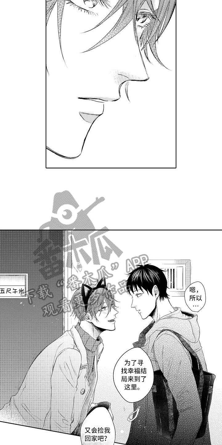 《我会喵喵叫》漫画最新章节第34章回来了免费下拉式在线观看章节第【3】张图片