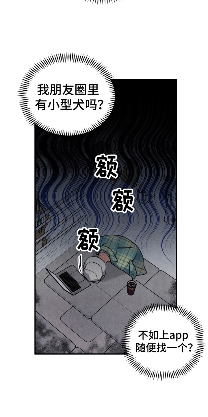 《危险接近》漫画最新章节第4章合适的对象免费下拉式在线观看章节第【19】张图片