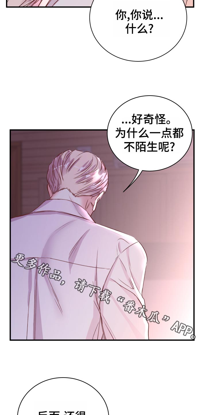 《复仇恋情》漫画最新章节第21章偷吻的惩罚免费下拉式在线观看章节第【17】张图片