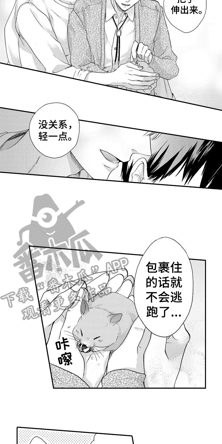 《爱在图书馆》漫画最新章节第10章不想后悔免费下拉式在线观看章节第【4】张图片