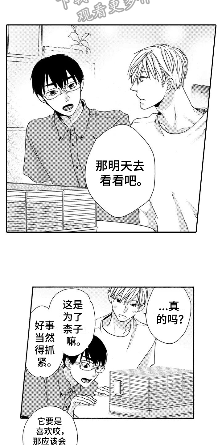 《爱在图书馆》漫画最新章节第18章做饭免费下拉式在线观看章节第【3】张图片