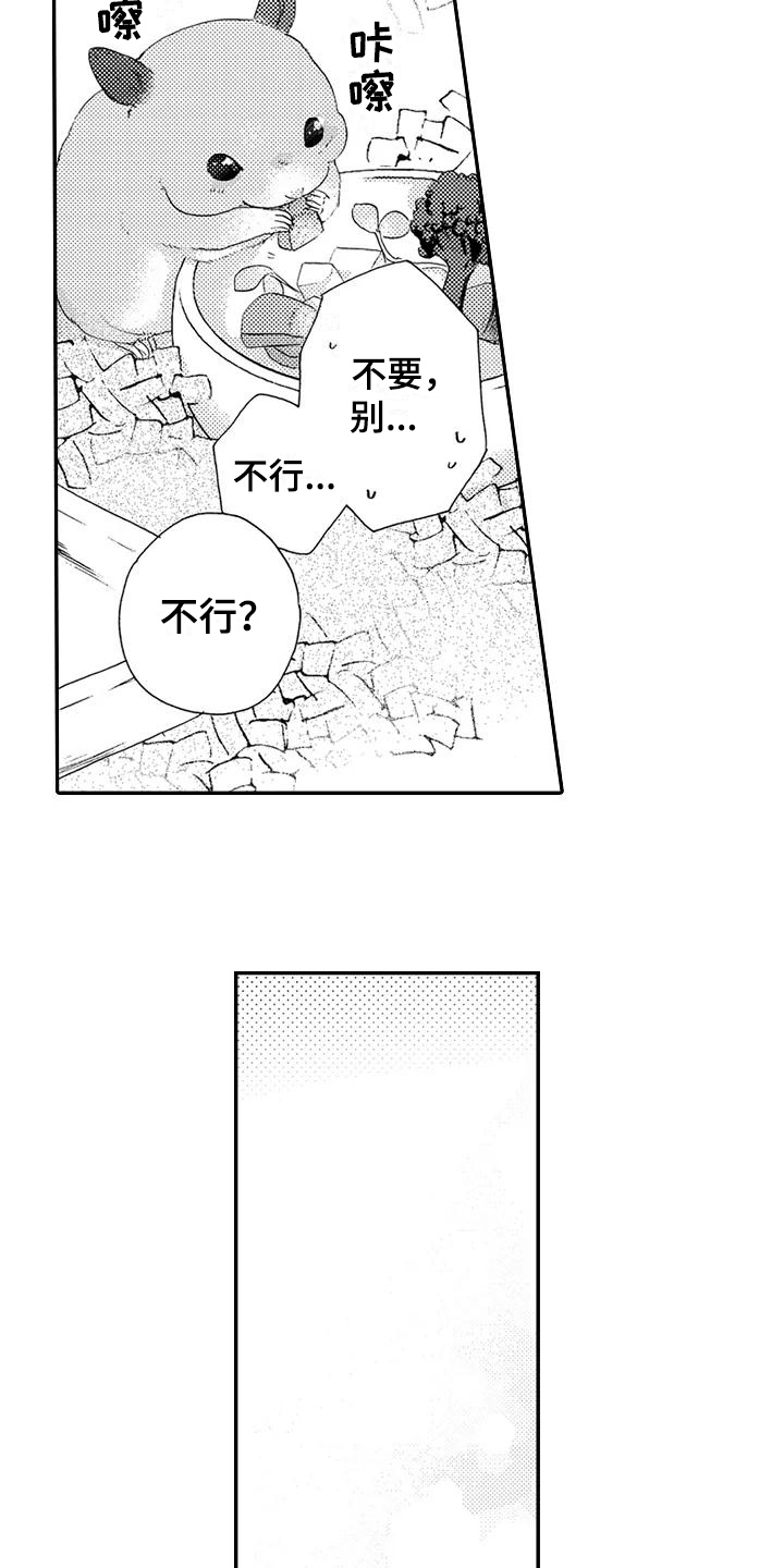 《爱在图书馆》漫画最新章节第24章期待【完结】免费下拉式在线观看章节第【13】张图片