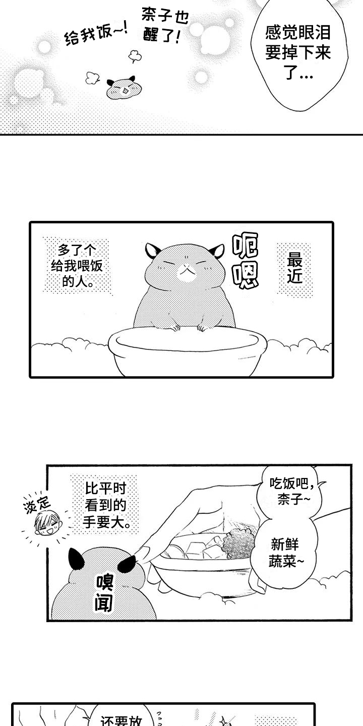 《爱在图书馆》漫画最新章节第25章【番外】美梦成真免费下拉式在线观看章节第【4】张图片