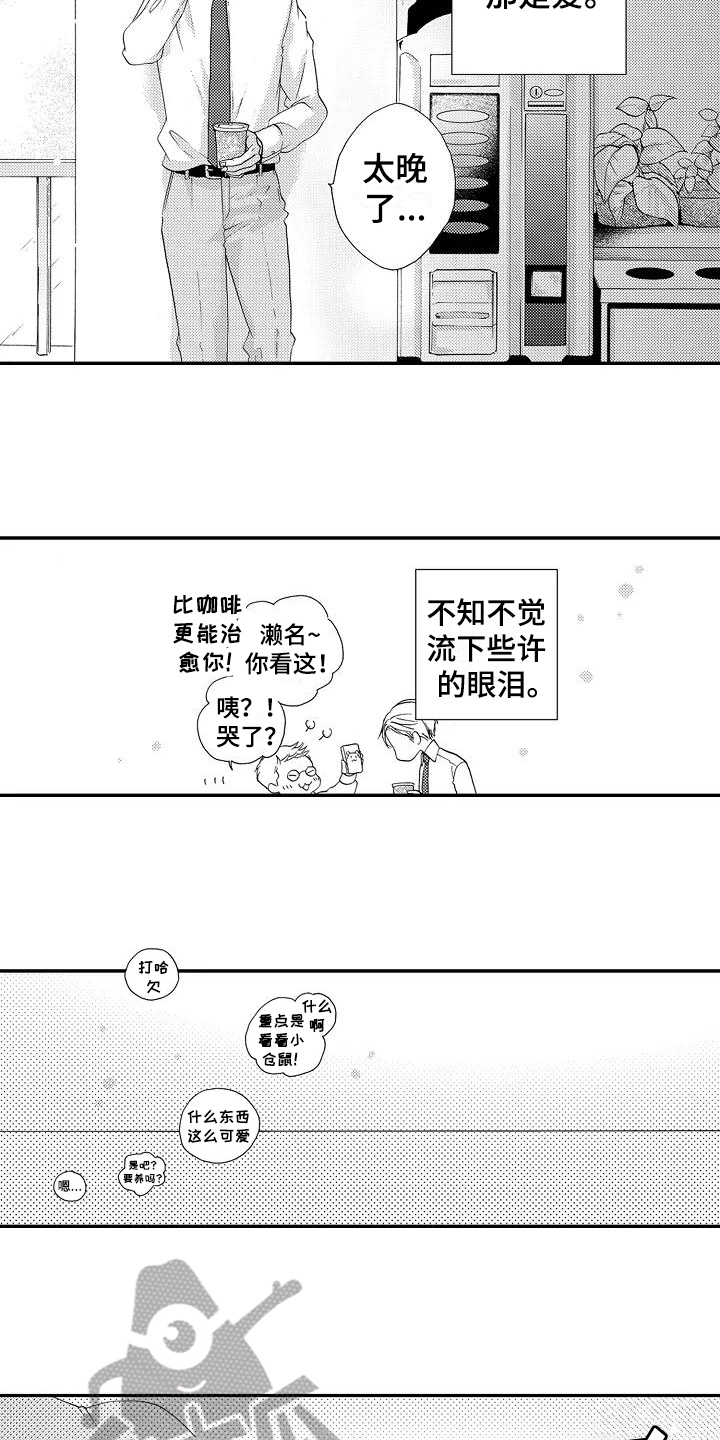 《爱在图书馆》漫画最新章节第25章【番外】美梦成真免费下拉式在线观看章节第【7】张图片