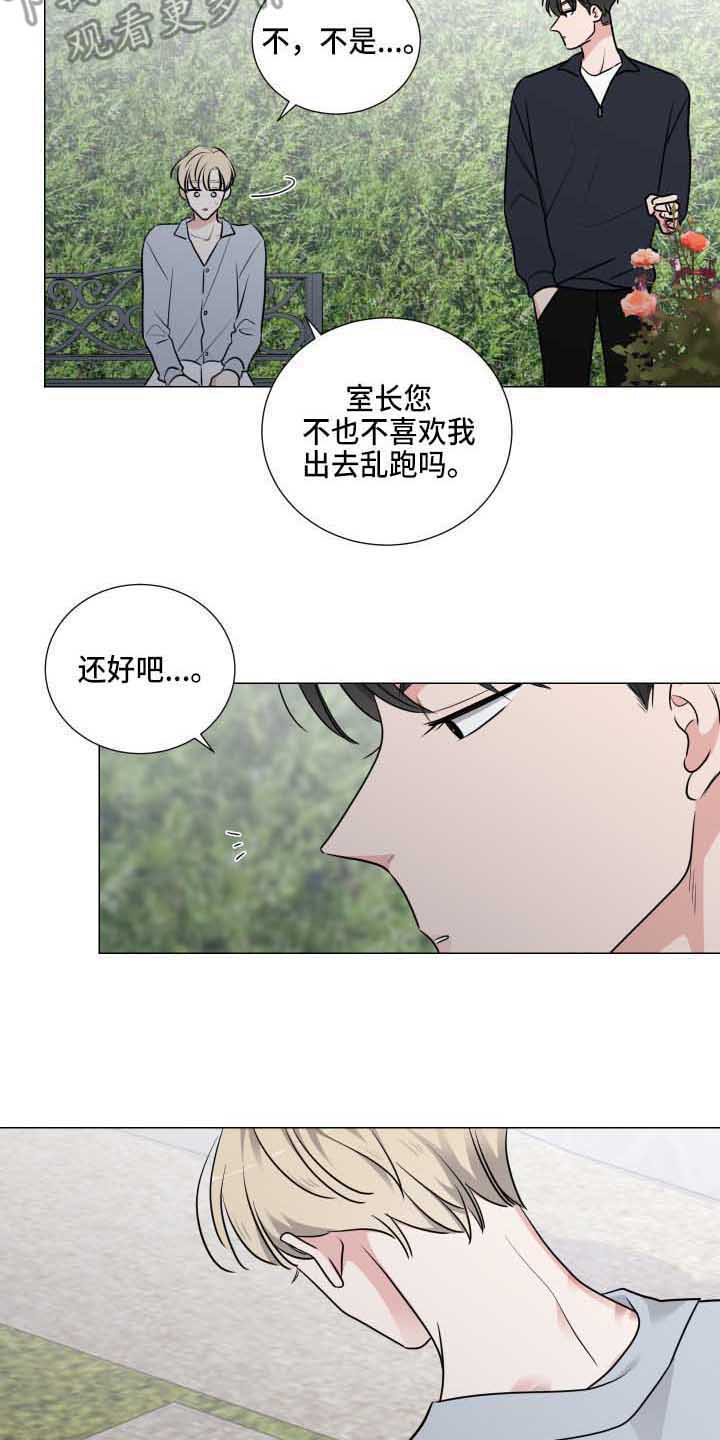 《继承关系》漫画最新章节第20章透口气免费下拉式在线观看章节第【4】张图片