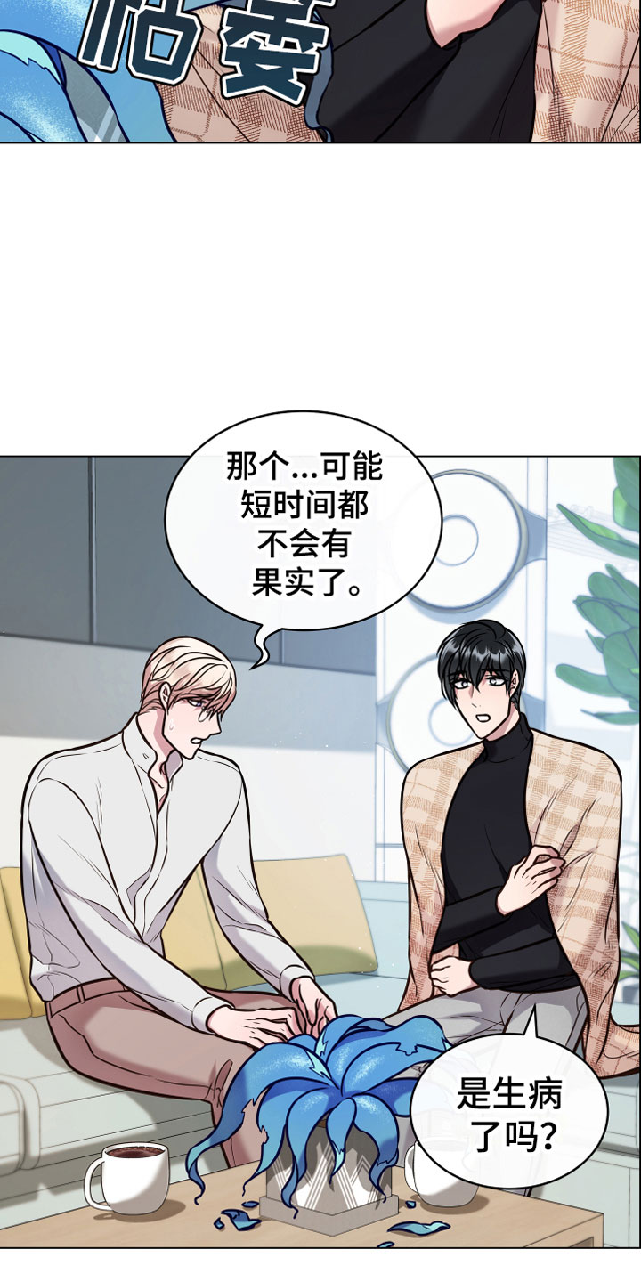 《植物与人》漫画最新章节第13章心意免费下拉式在线观看章节第【17】张图片