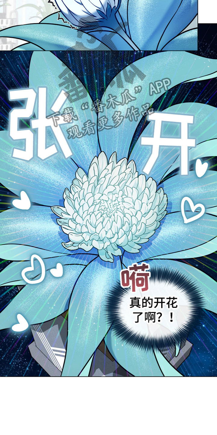 《植物与人》漫画最新章节第9章开花免费下拉式在线观看章节第【8】张图片