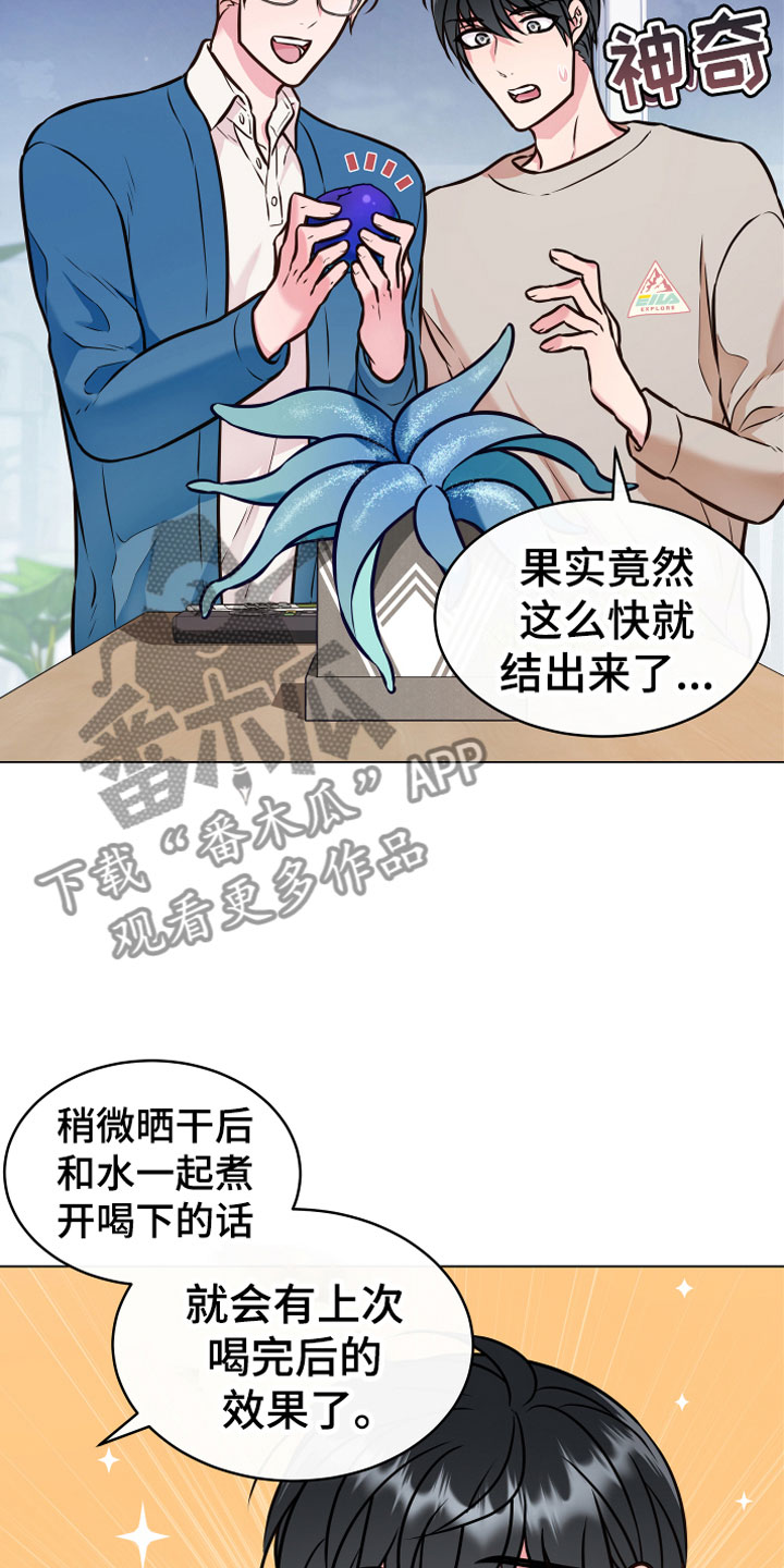 《植物与人》漫画最新章节第5章果实免费下拉式在线观看章节第【19】张图片