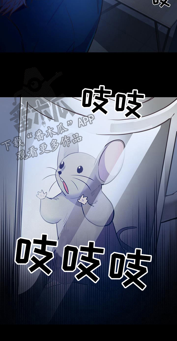 【恶棍】漫画-（第6章老鼠）章节漫画下拉式图片-20.jpg