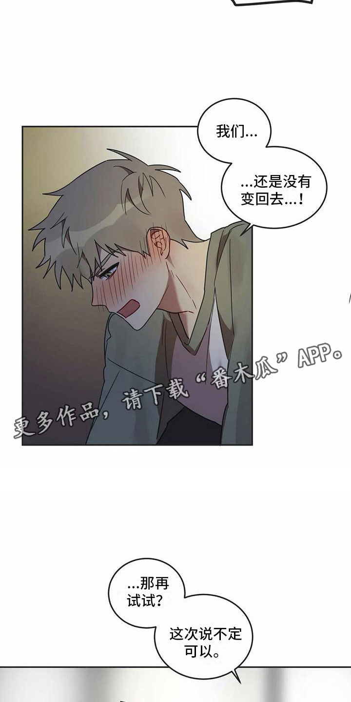 《互换诅咒》漫画最新章节第17章诅咒解除免费下拉式在线观看章节第【19】张图片