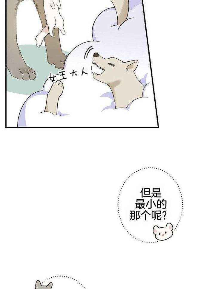 【白鼬小姐】漫画-（第1话_女王大人的故事）章节漫画下拉式图片-29.jpg
