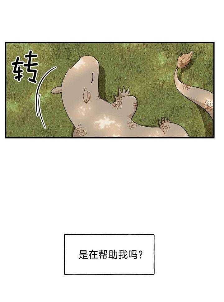 【看见那条龙了吗，我的】漫画-（第3话_不吃草吗）章节漫画下拉式图片-21.jpg