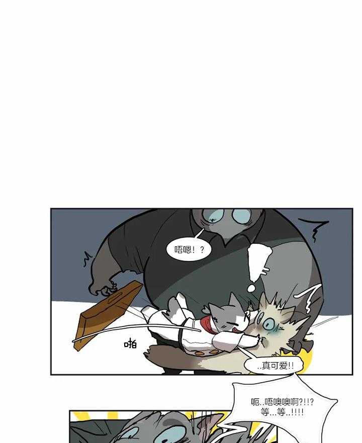 【保镖吸猫有错吗】漫画-（第30话_退回）章节漫画下拉式图片-12.jpg