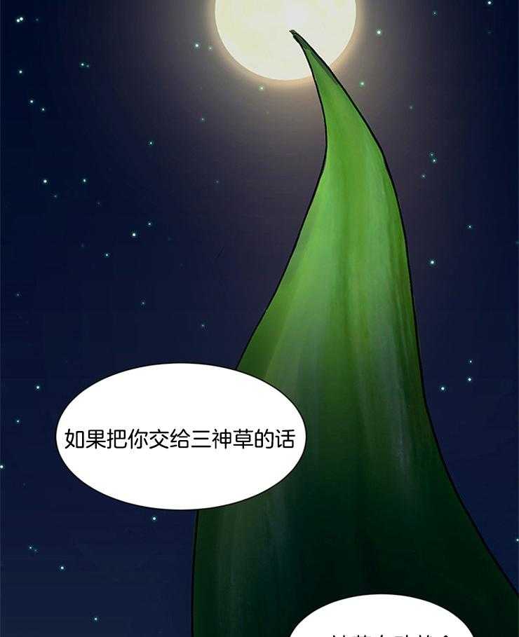 【王的土豆】漫画-（第11话_将你献给三神草）章节漫画下拉式图片-7.jpg