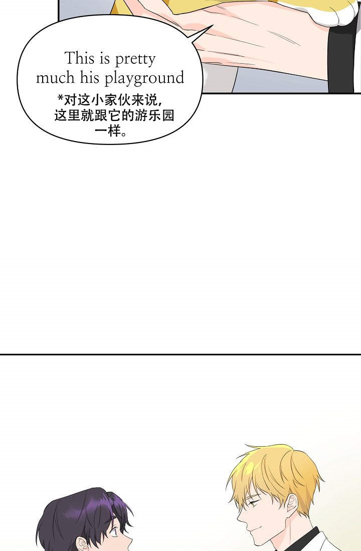 【老虎花】漫画-（第1话_1）章节漫画下拉式图片-35.jpg