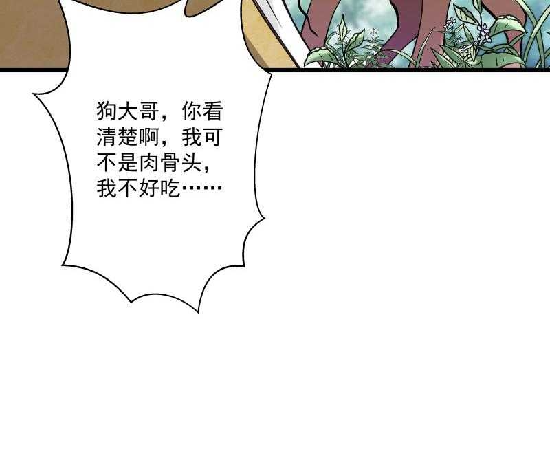 【小皇书VS小皇叔】漫画-（第12话_被狗追了！）章节漫画下拉式图片-13.jpg