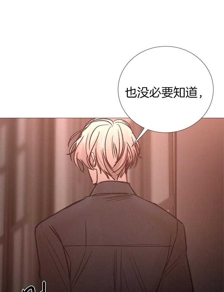 第135话_合适的时机27