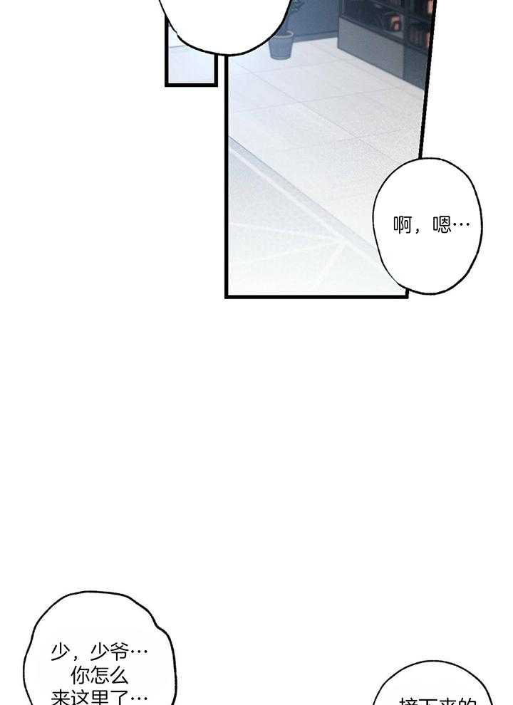 第84话_万能经纪人9