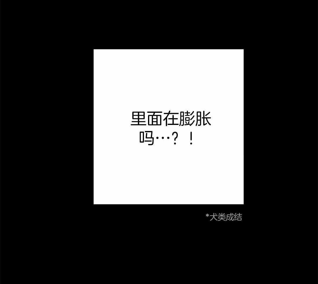 【魔王逆谋】漫画-（第18话_犬类成结）章节漫画下拉式图片-59.jpg