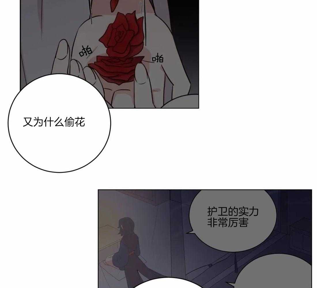 第105话_发现23