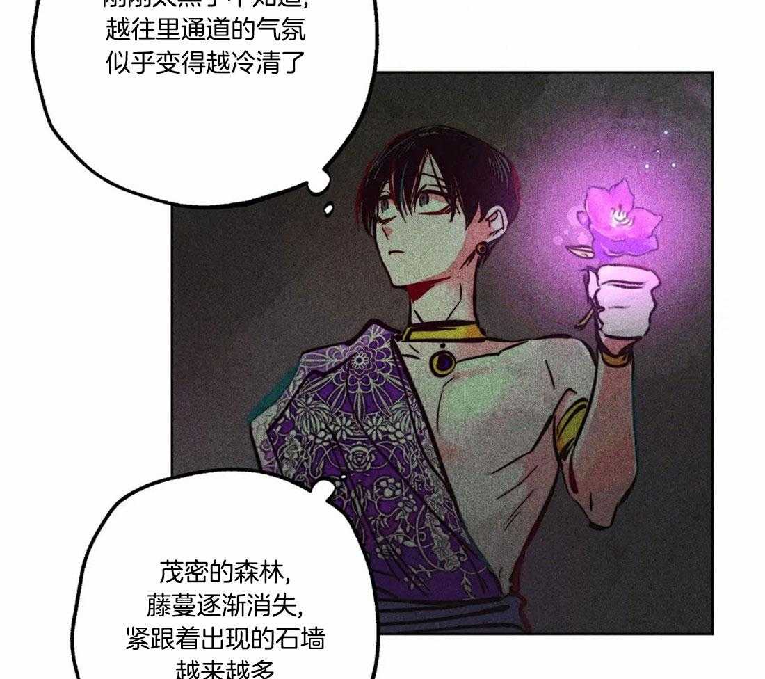 第81话_神秘的花17