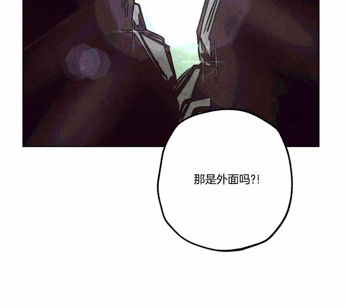 第81话_神秘的花12