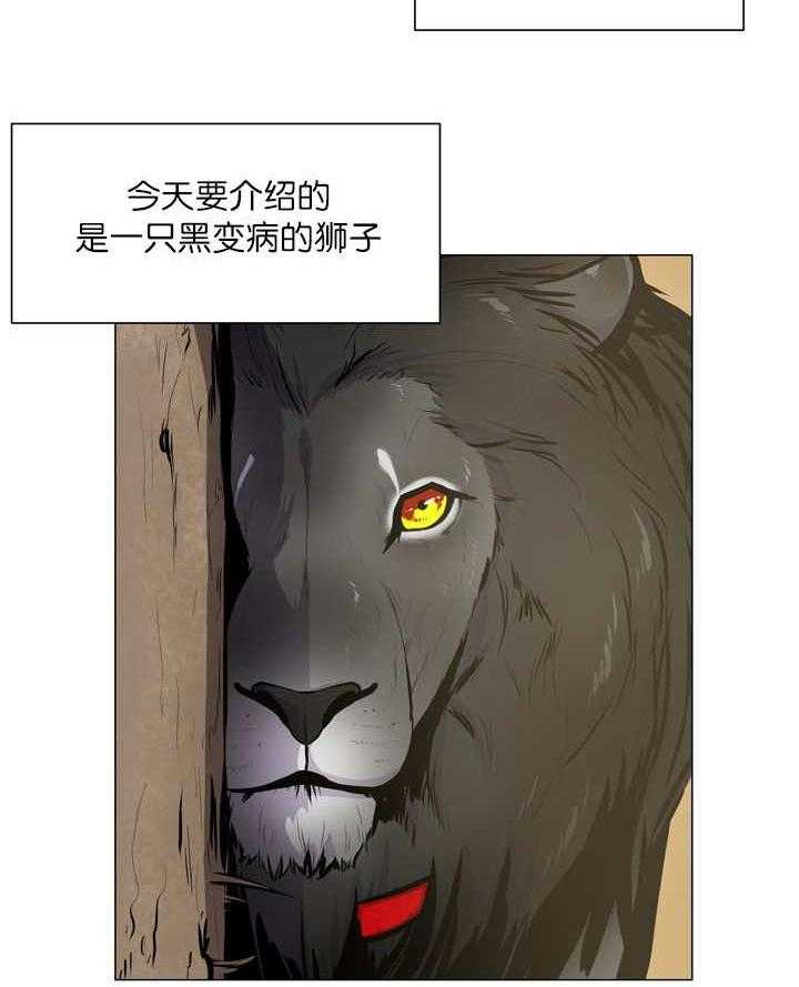 第11话_狮子1