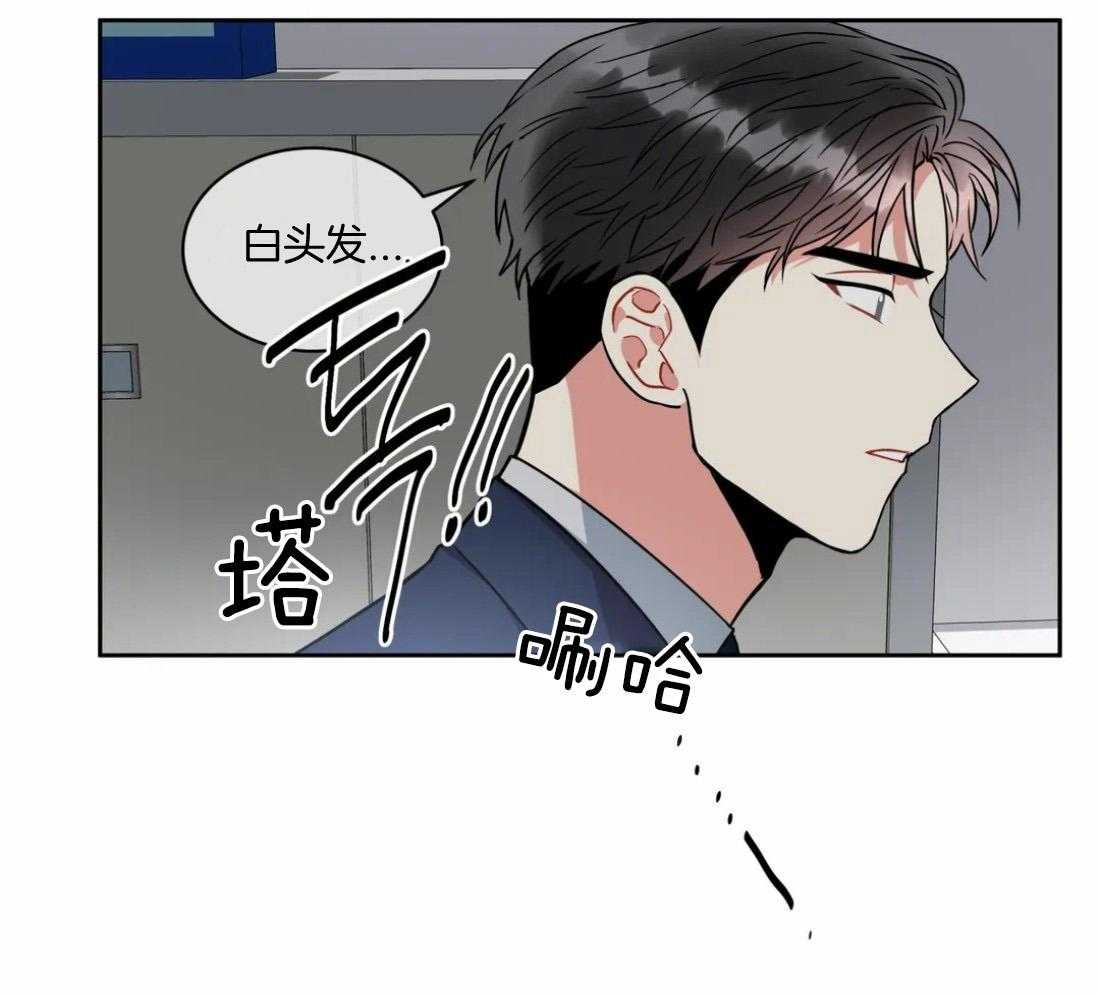 第61话_视频0