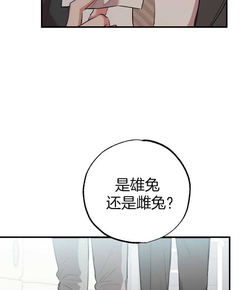 第57话_寻兔启事26