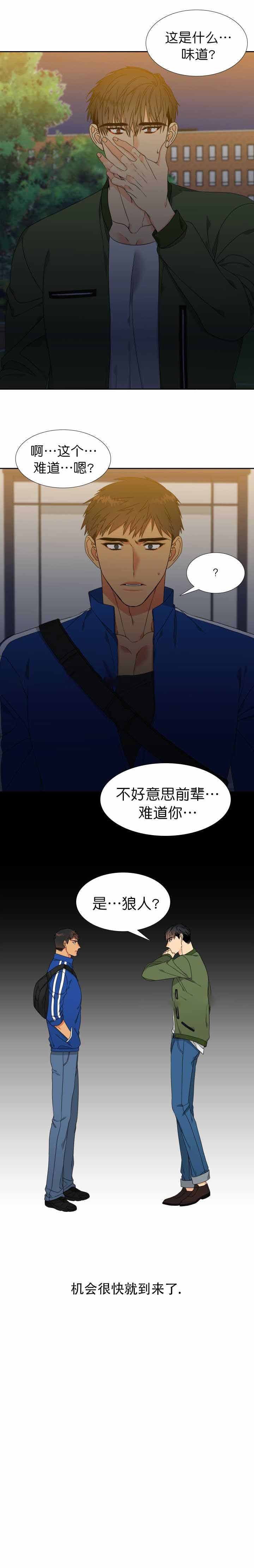 【狼的香气】漫画-（第115话_115）章节漫画下拉式图片-第7张图片