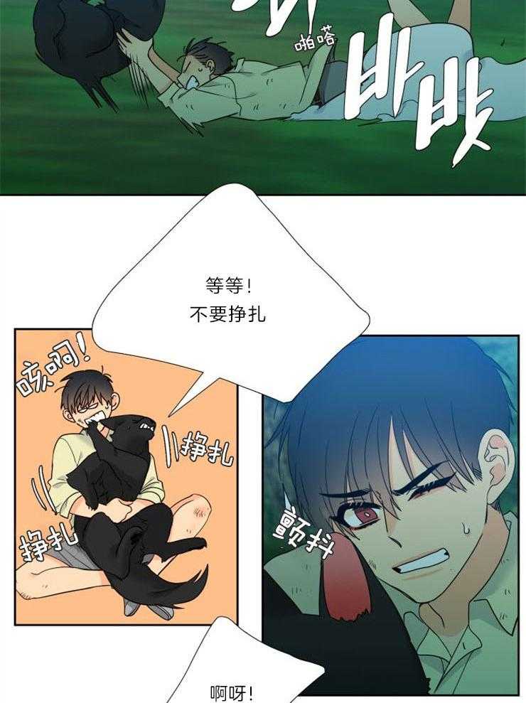 【狼的香气】漫画-（第202话_危急关头）章节漫画下拉式图片-第4张图片